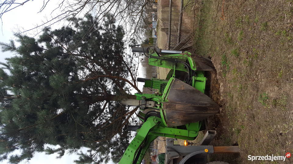 Przesadzanie drzew wielkopolskie Rogalinek