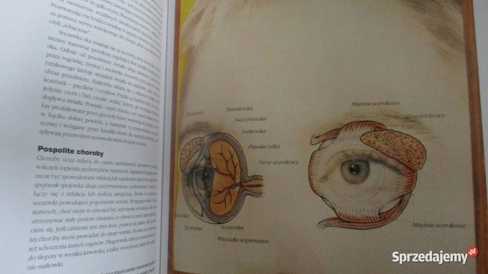 Encyklopedia medycyny naturalnej medycyna Łódź