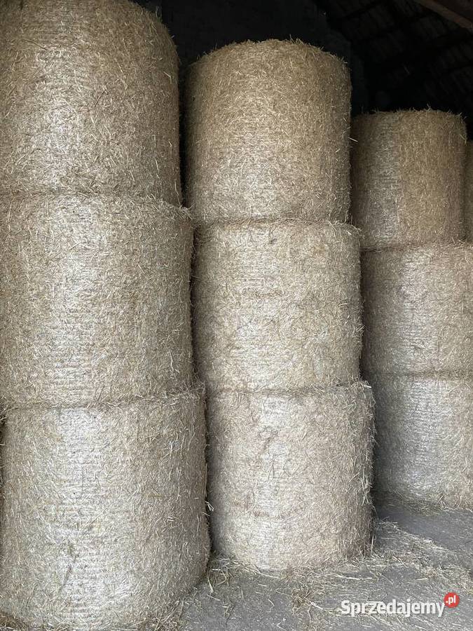Słoma w belach Obryte