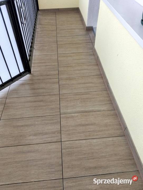 Wynajem minikoparki usługi remontowe Września