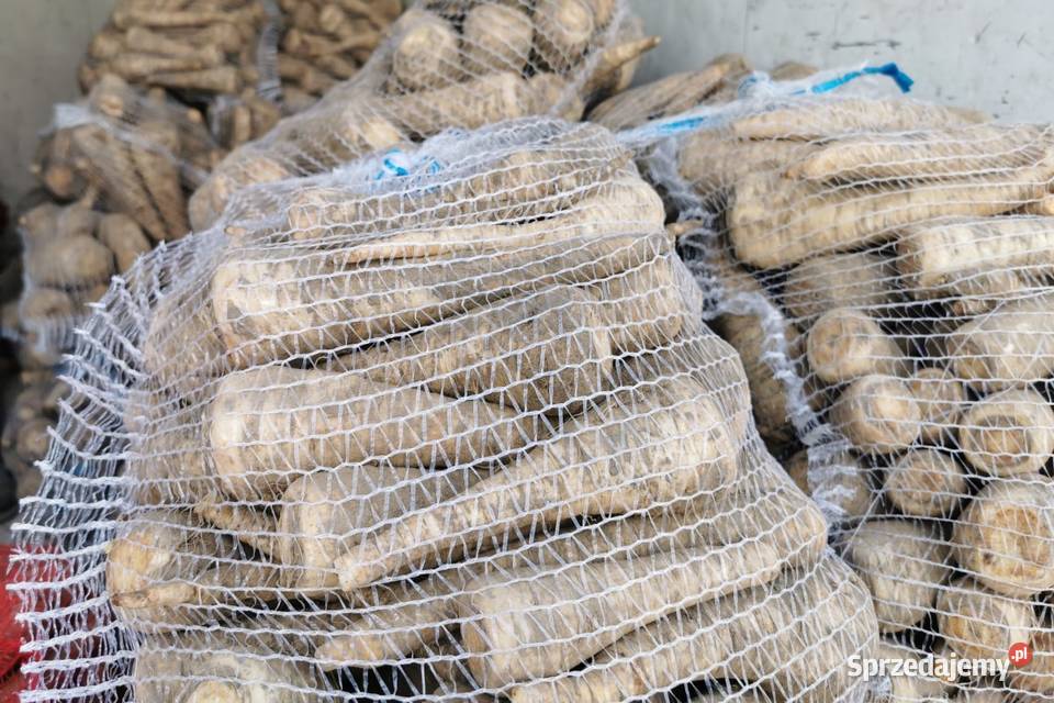 Sprzedam pietruszke Charsznica