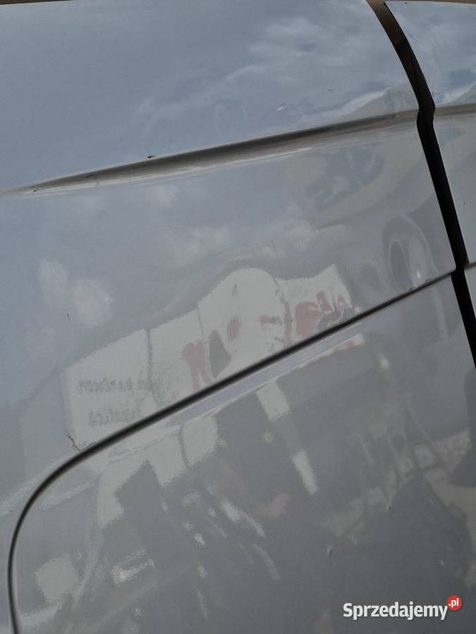 MERCEDES SPRINTER W907 W910 DRZWI TYŁ LEWE PRAWE dostawcze Bieleń