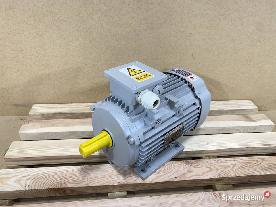 silnik elektryczny 22kW 1435obr 3fazowy IE3 Części do elektronarzędzi kujawsko-pomorskie Pigża