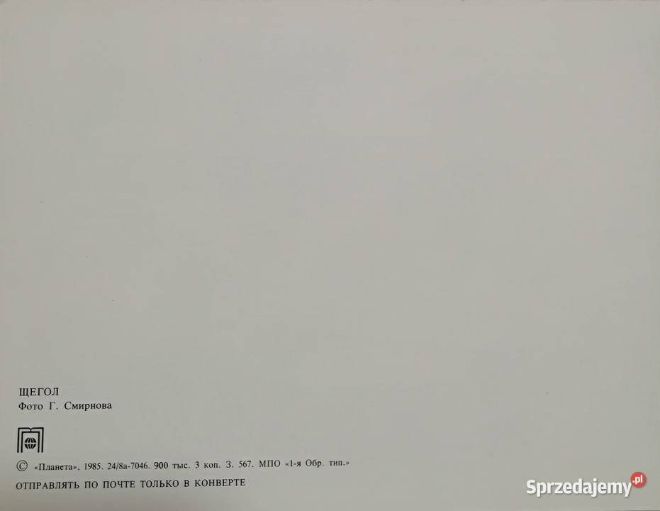 Szczygieł kartka ze zdjęciem małopolskie Kraków