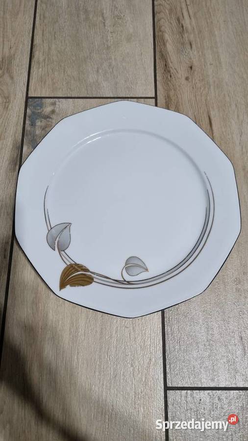 Talerz Bavaria wielkopolskie Wola Podłężna