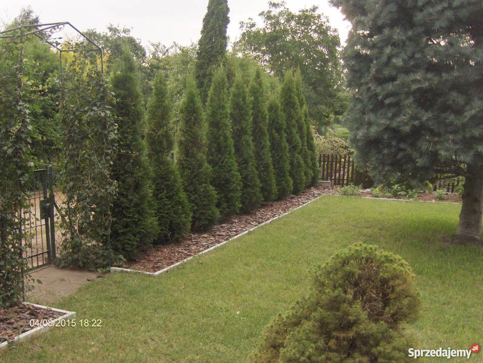 sprzedam działkę ROD Złotowska