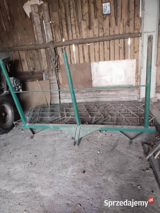 Brony trójki w stanie Hajnówka