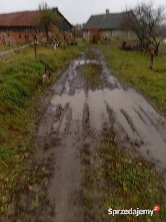 Sprzedam siedlisko z budynkami cegła