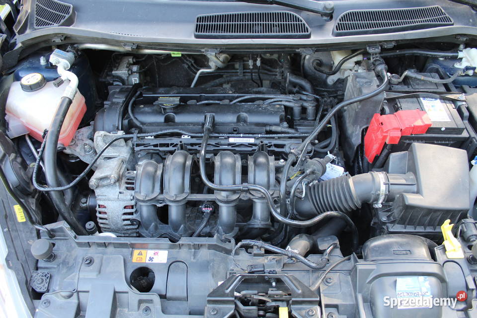 Fiesta mk7 wymianie rozrządu Jordanów Śląski