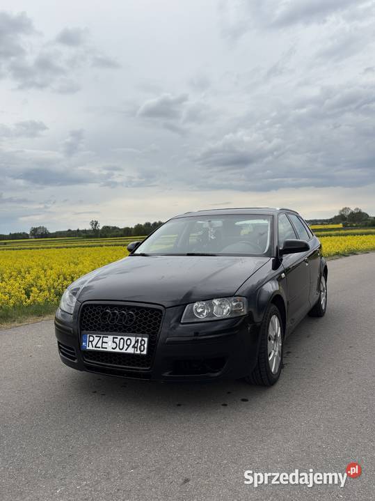 Audi A3 8P 20 TDI 140 Bełżyce sprzedam