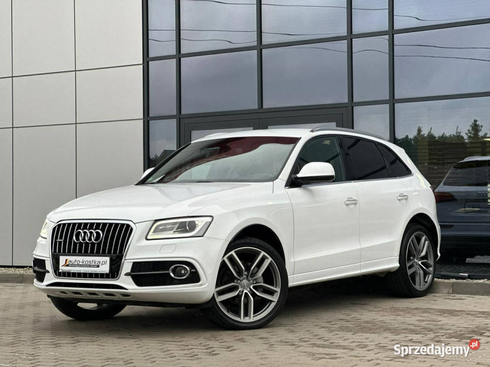 Audi Q5 8xAlu ElKlapa Skóra Bixenon Grzane relingi dachowe Kąty Opolskie