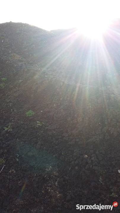 ziemia ogrodowa urodzajna pod warzywa kwiaty Pruszków