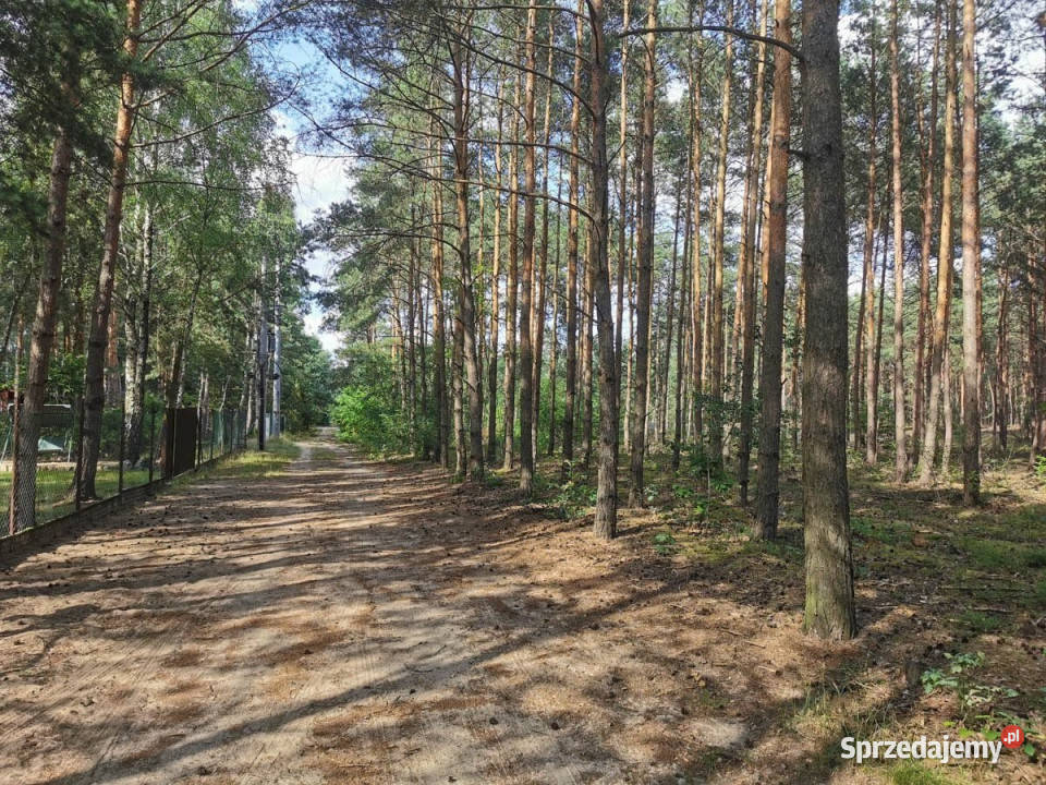 wynajmu działki Mogilno 600m2 600m2