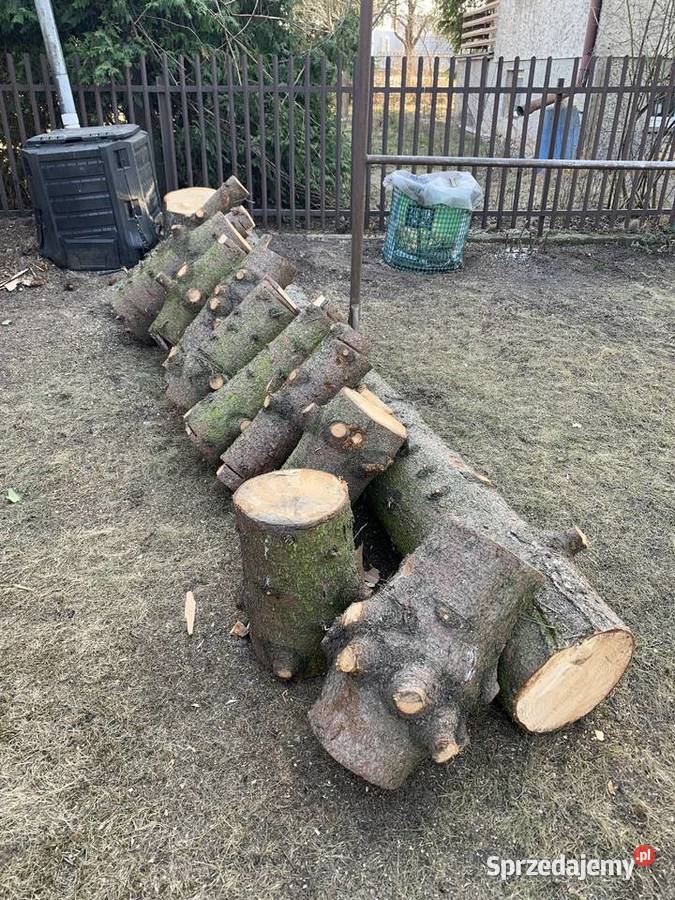 Drewno opałowe podlaskie