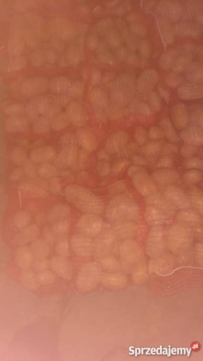 Sprzedam ziemniaki jadalne Marabell Bellarosa Borów-Kolonia