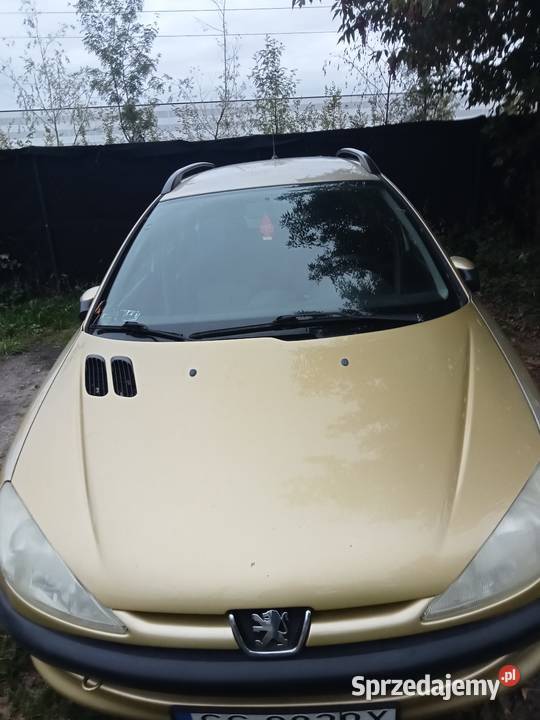 Peugeot sw 206 lakier metallic Częstochowa