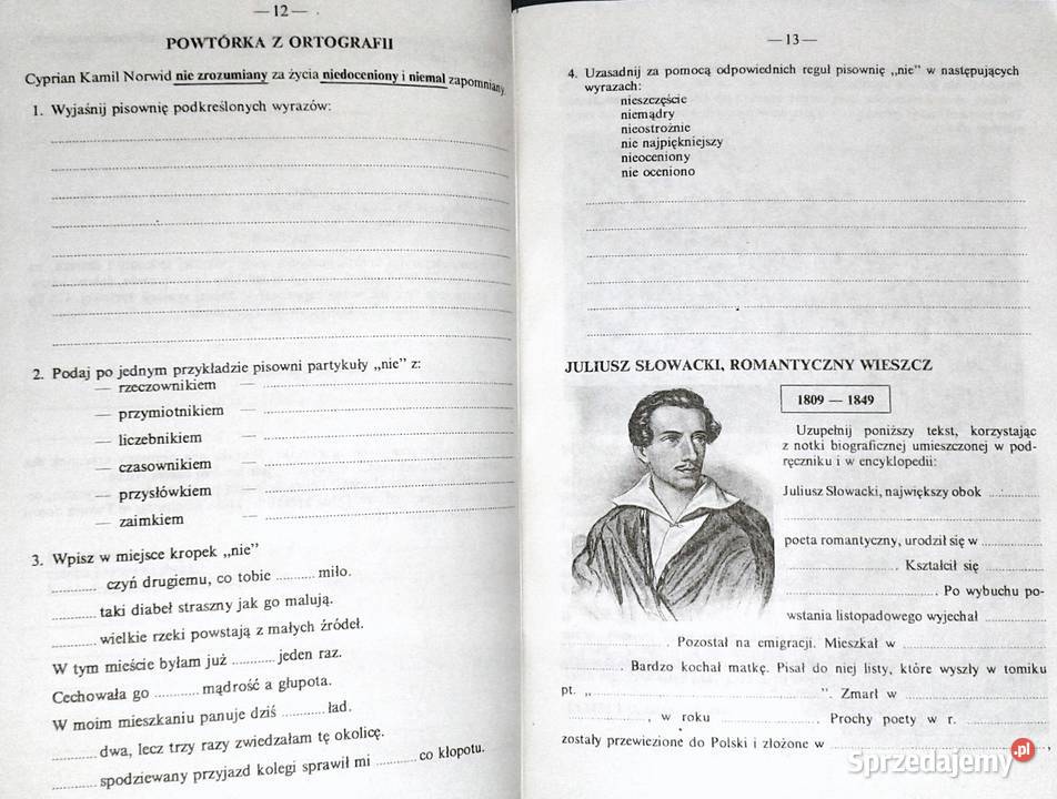 Język polski Zeszyt ćwiczeń kl 8 Elżbieta Chełm