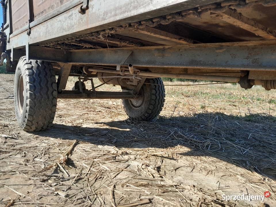 Rorzutnik małopolskie Gnojnik sprzedam