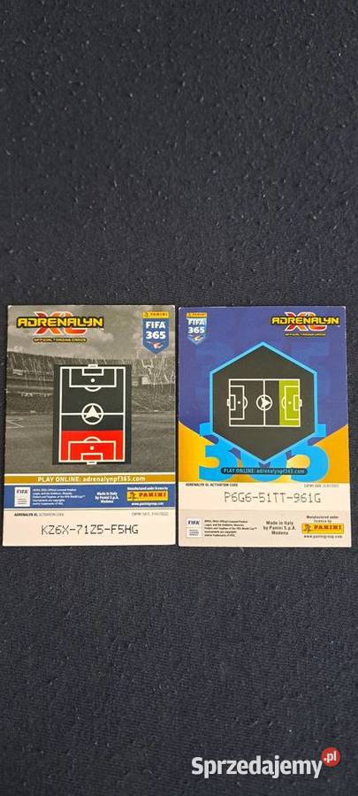 Karta panini Raphinha i Piqu Pozostałe