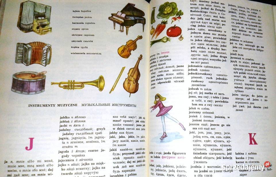Ilustrowany słownik dzieci Rosyjskopolski