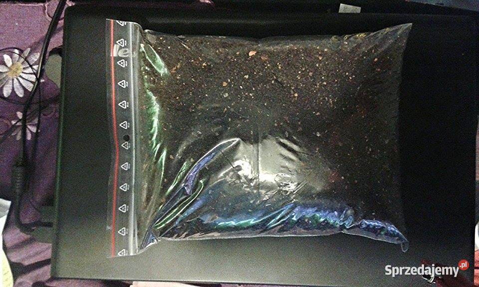 Podłoże roślinne pod żwirowe do akwarium pełen podkarpackie Jasło