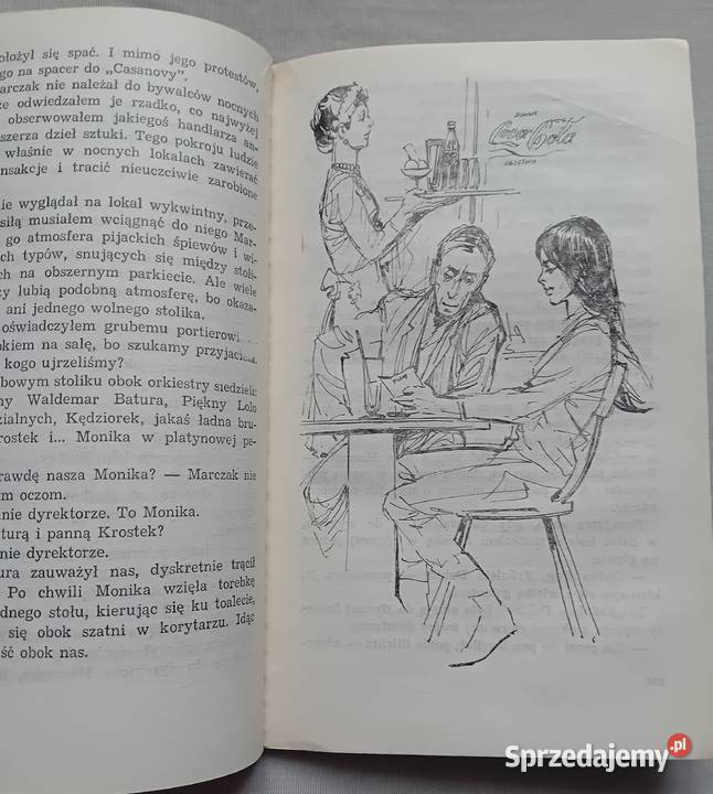 Zbigniew Nienacki Pan Samochodzik i Niewidzialni Koźminek