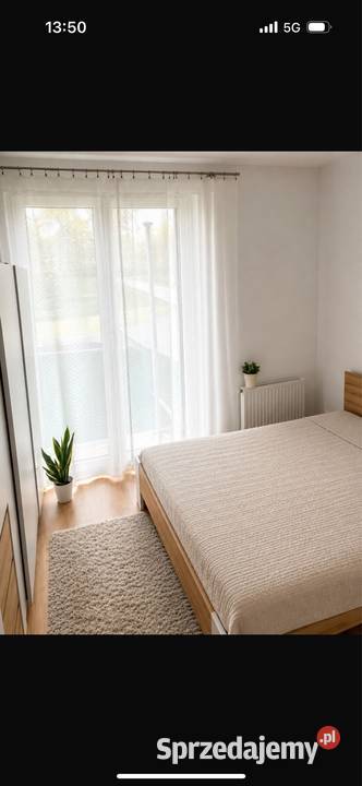 2 pokojenoweGrunwald wykończoneogródek parter Poznań