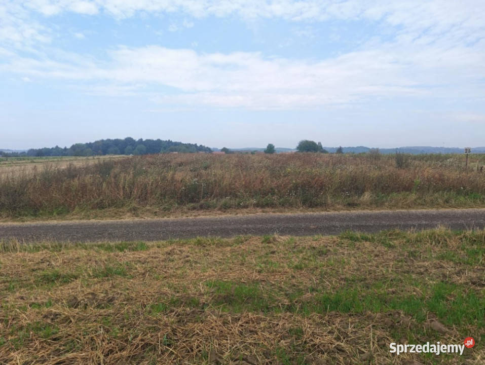 Nieruchomość gruntowa z zabudową Wierzchowiska Wierzchowiska Pierwsze sprzedam