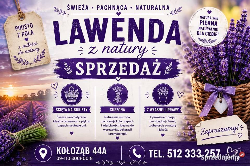 Sprzedam bukiety lawendy Kołoząb