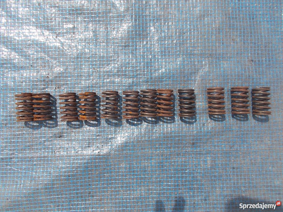 Sprężyny zaworów Ford Holland