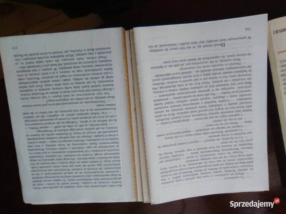 Krucjata Bournea Robert Ludlum Poznań sprzedam