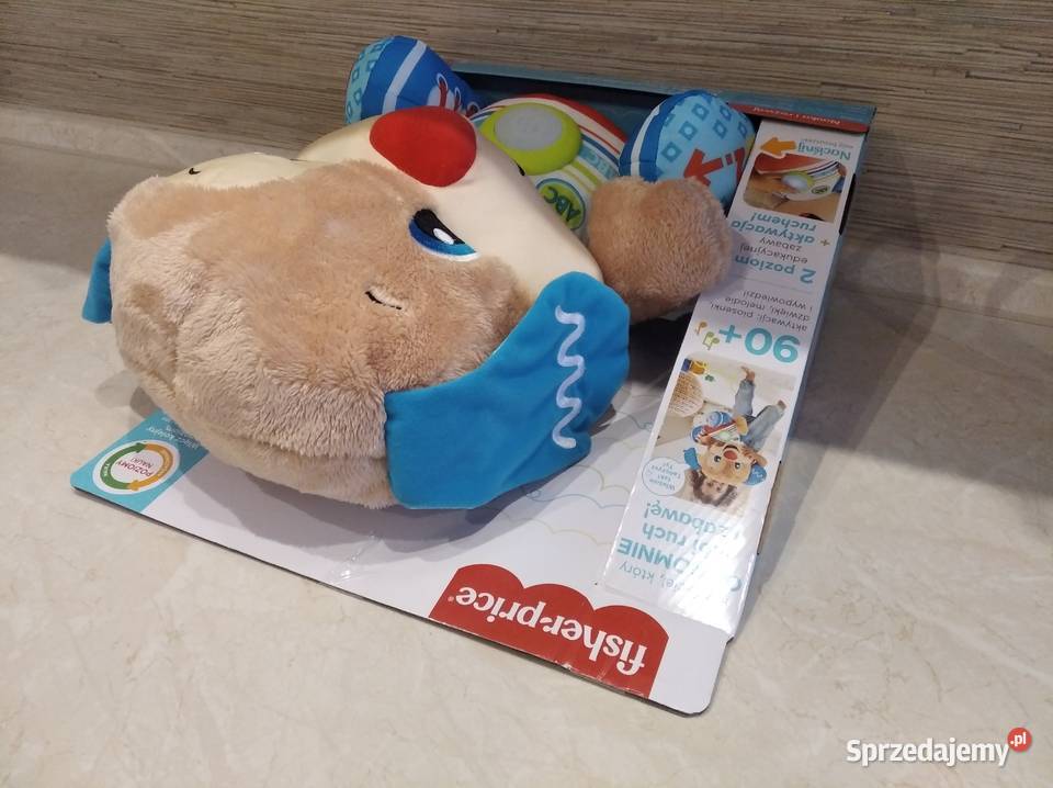 NAJTANIEJ Wielki Braciszek Szczeniaczek 18m+ śląskie Zabrze