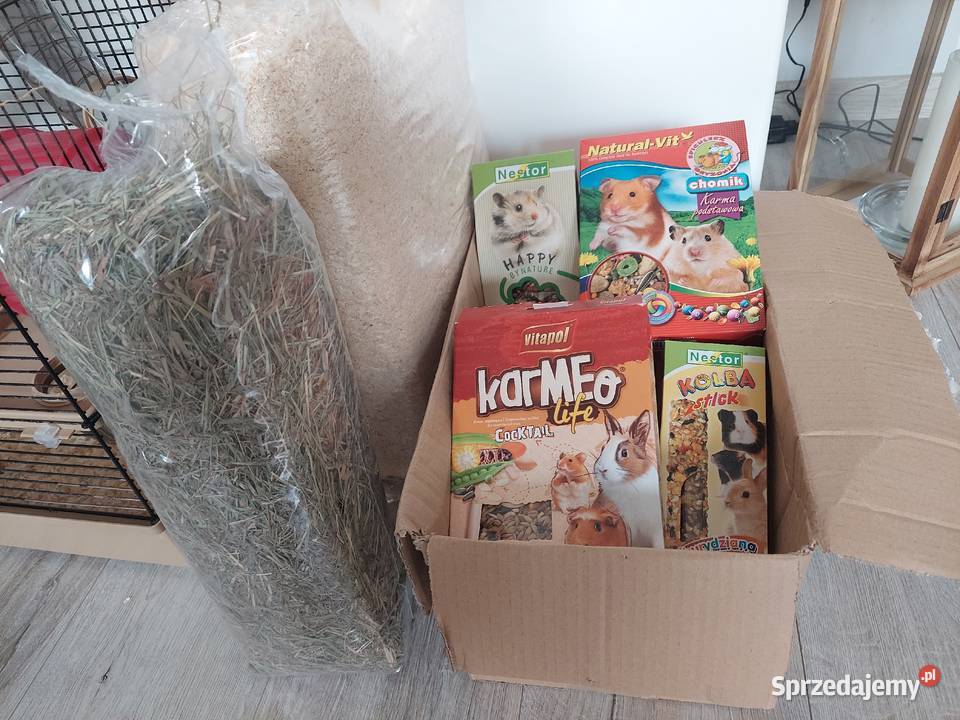 Chomiki syryjskie z klatką I wyprawką Czarna Woda