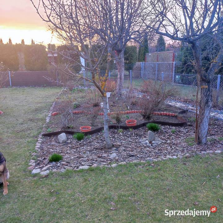 Działka ROD Bełchatów