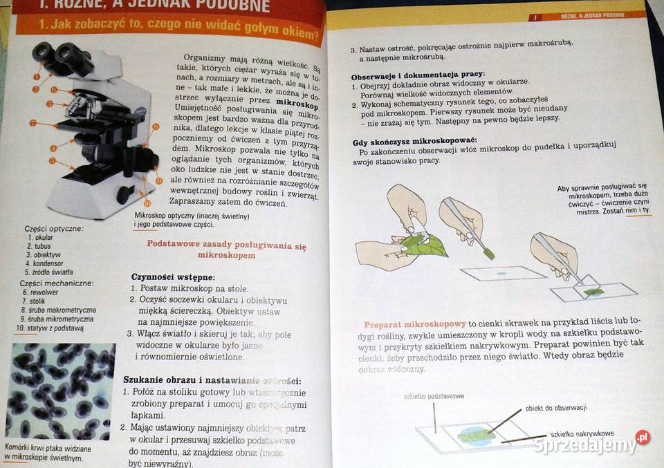 Spotkania z przyrodą 5 A Czubaj R Czubaj R Chełm sprzedam