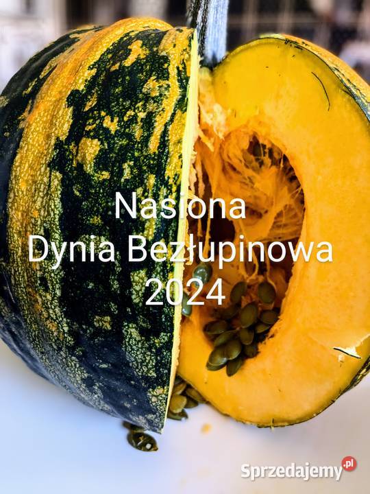 Warzywa Dynia bezłupinowa Cukinia zimowa nasiona