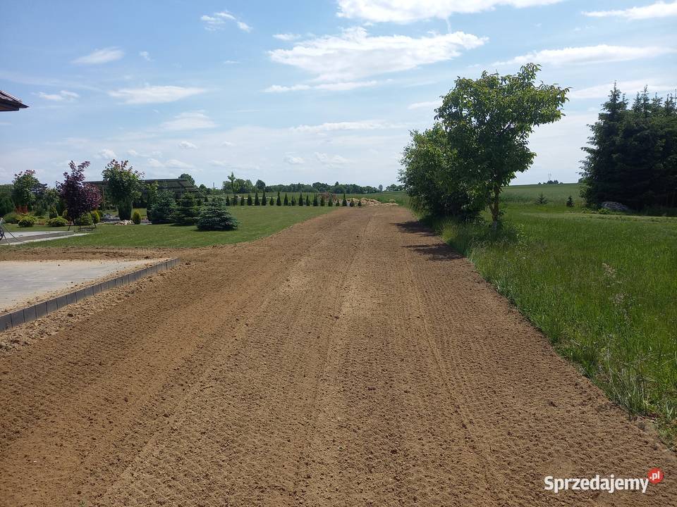 Zakładanie trawnika siew trawy mikrokoniczyny Podebłocie