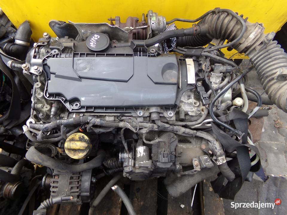 TRAFIC VIVARO PRIMASTAR 20 DCI EURO 5 13r 114 osobowe Suków