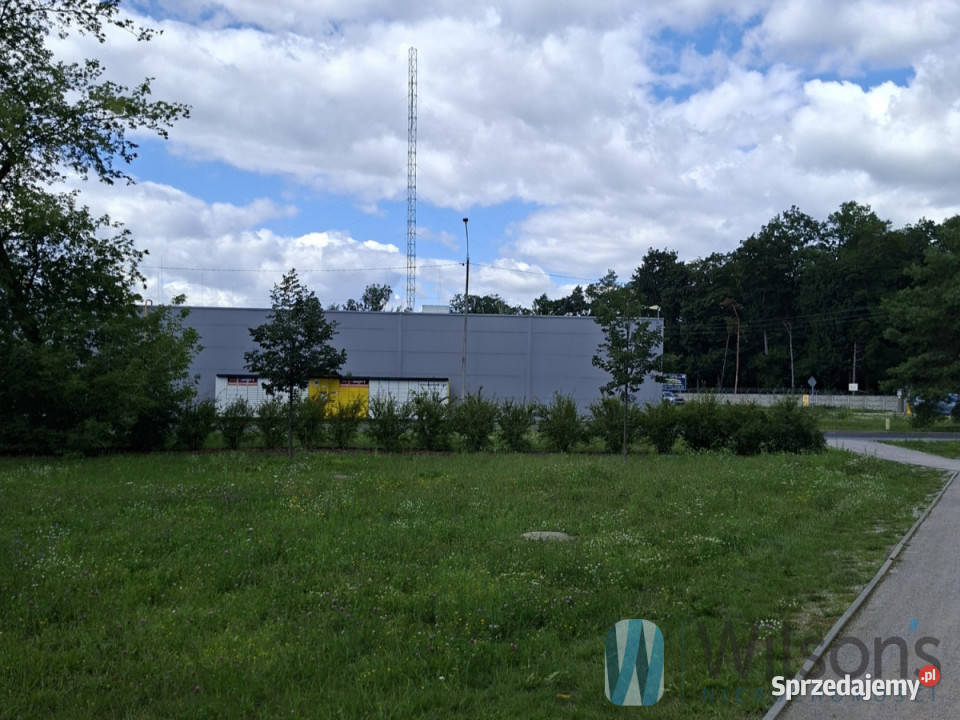 Grunt Sulejówek Okuniewska 20000m2 mazowieckie