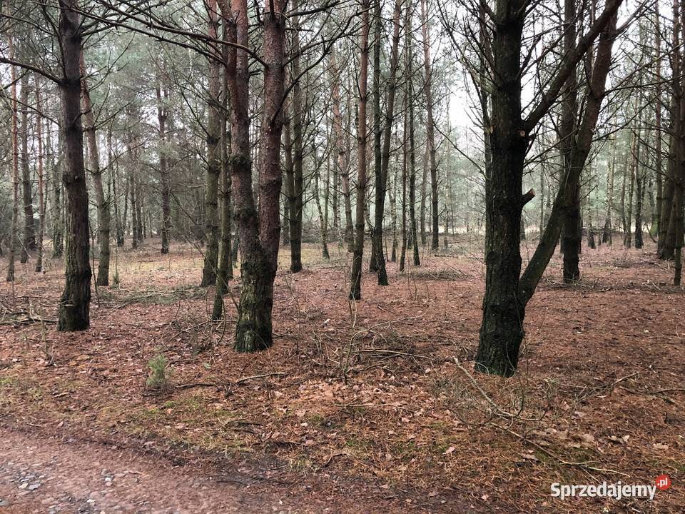 działka rekreacyjna Basinów k Wyszkowa sprzedam