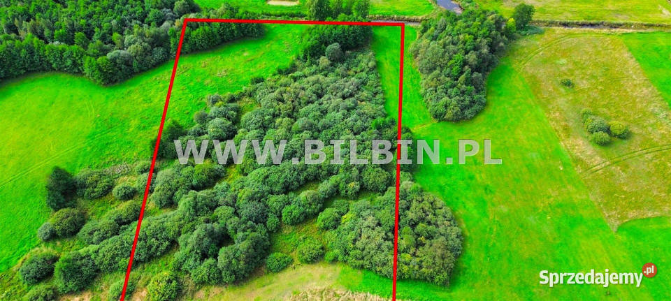 Działka Stara Dębszczyzna 46512m2