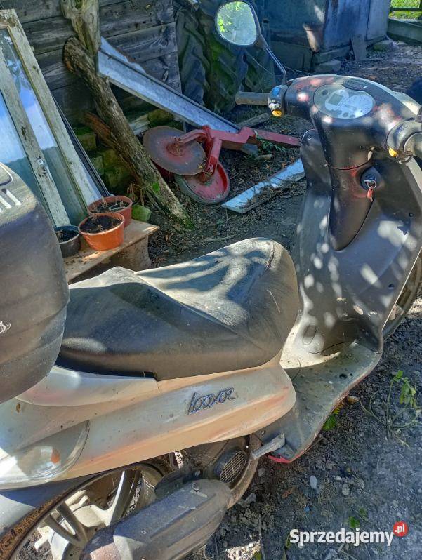 Peugeot Loxor Urzędów