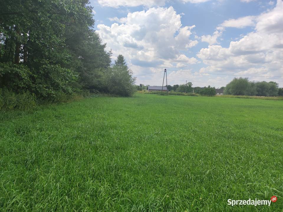 Działka rolna w Iłownica sprzedam