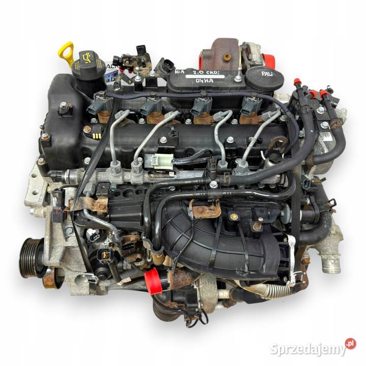 SILNIK D4HA Hyundai ix35 Santa Fe II III Tucson osobowe Chełm sprzedam