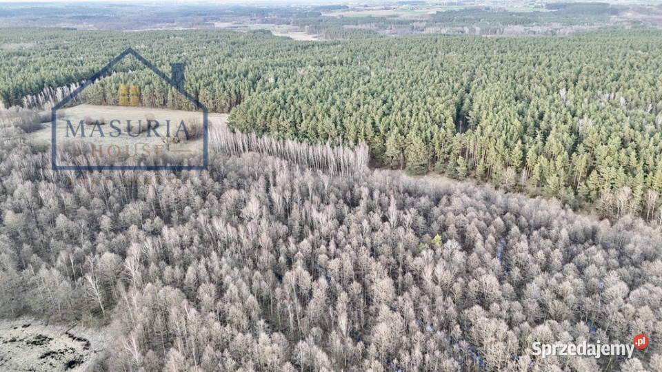 Działka w lesie polana polna
