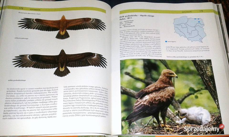 Ptaki Polski Tom I Andrzej G Kruszewicz lubelskie