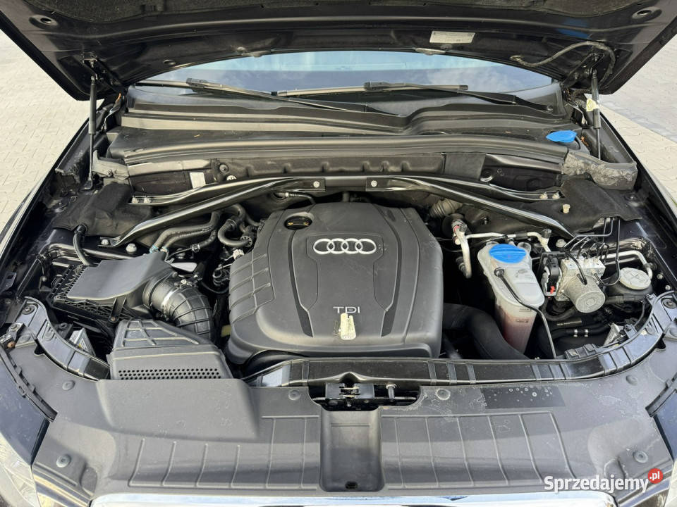 Audi Q5 20 TDI 170 LED Biksenon Nawigacja Skóra Mrągowo