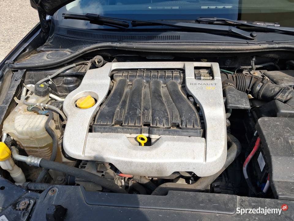 Renault laguna Laguna Puławy