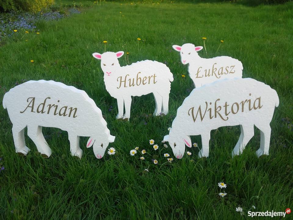 Owieczka z imieniem dziecka dekoracja Pierwsza Dobrzyca