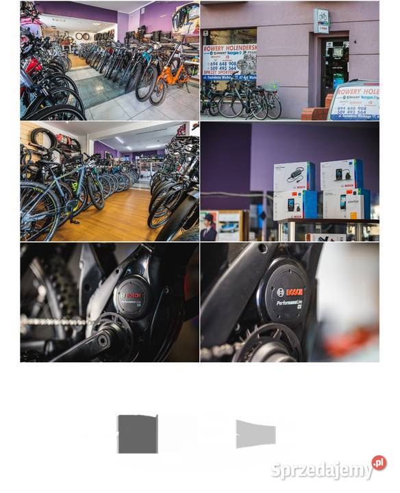 Promocja Nowy elektryczny Focus PlanetGwarancja